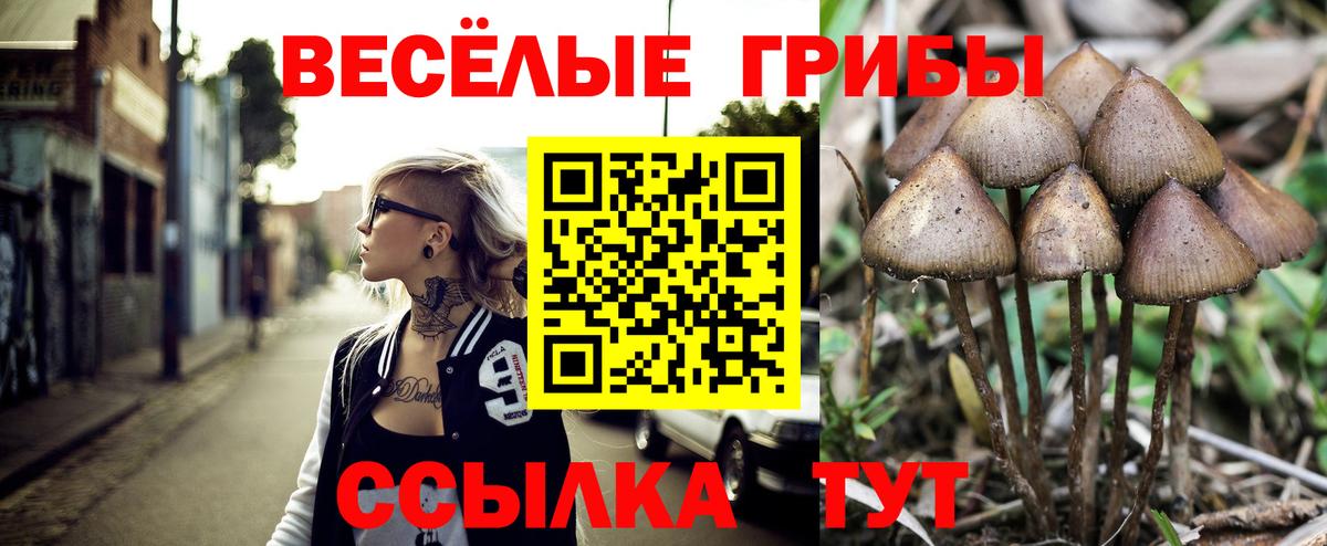 Псилоцибиновые грибы Magic Shrooms Рубцовск