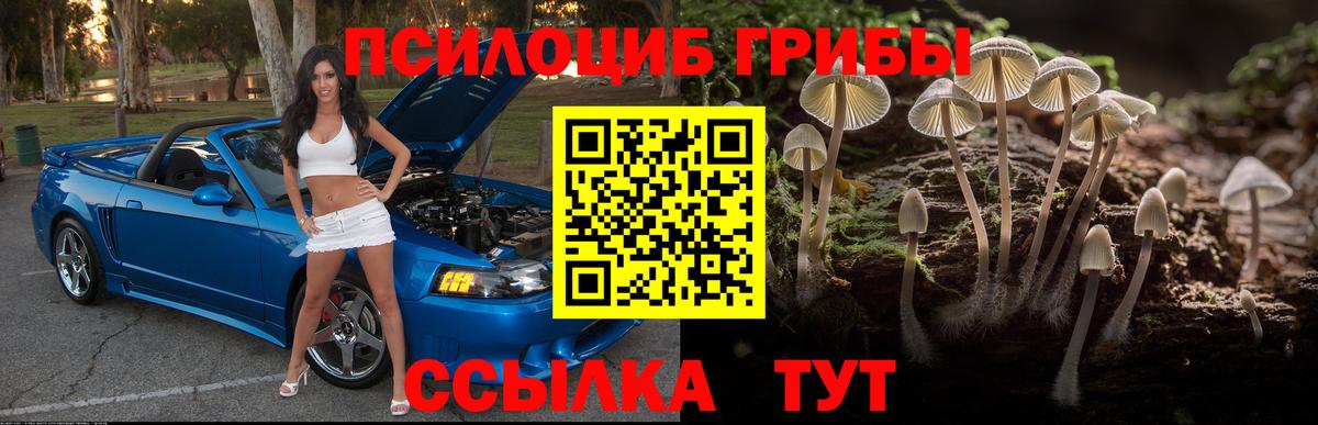 купить наркотик  Вход с VPN  Рубцовск  Галлюциногенные грибы мицелий 